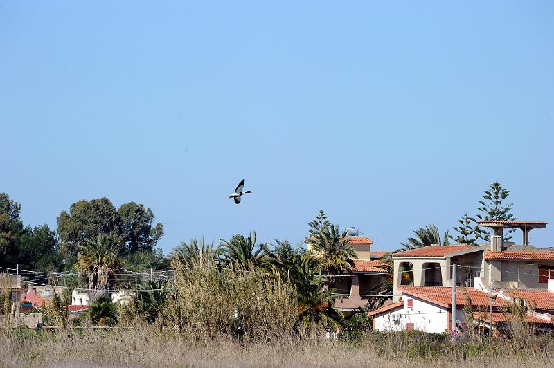 27.2.2011 MARZAMEMI E PRANZO SOCIALE (156).jpg